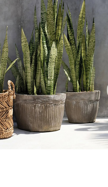 Terra Cadence Collectie