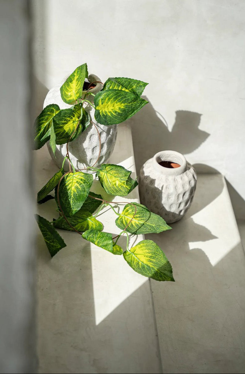 Trendy Vazen – moderne terracotta charme Maat: M