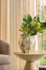 Paradiso Vaas – limited edition keramiek met palmprint