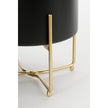 Lunar Noir Aries – zwarte metalen planters op gouden standaards