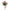 Bologna Glow – ribbelpot met Anthurium
