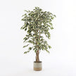 Sandstone Fade Lago Pot – speckled cream met warme rand