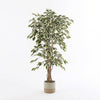 Sandstone Fade Lago Pot – speckled cream met warme rand