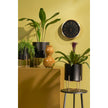 Lunar Noir Aries – zwarte metalen planters op gouden standaards