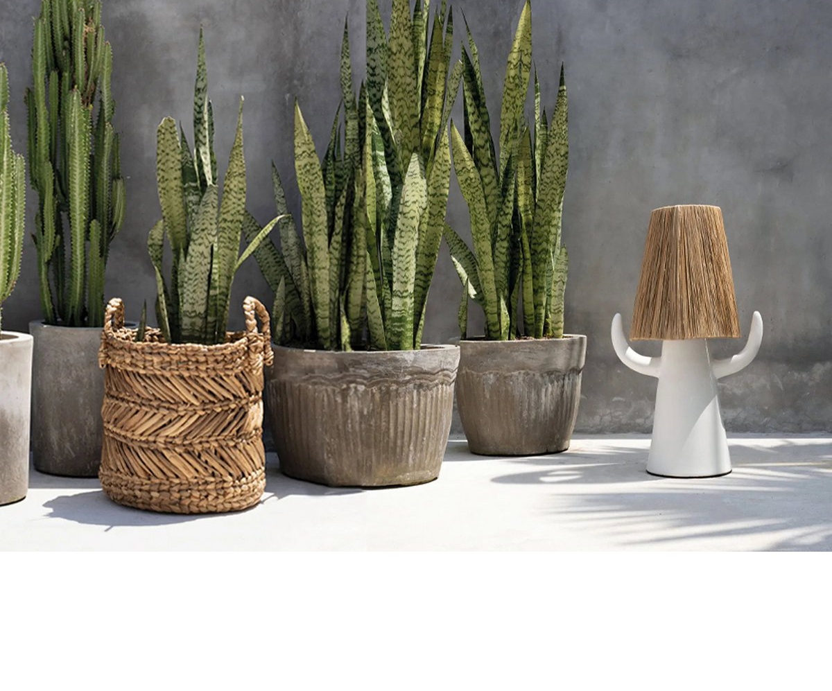 Zigzag Natural – plantenmand met een ritmisch randje maat M