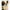 Beige tulpenvaas keramiek Felipe 27 cm – Edenflair