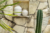 Trendy Vazen – pure terracotta charme Maat: L