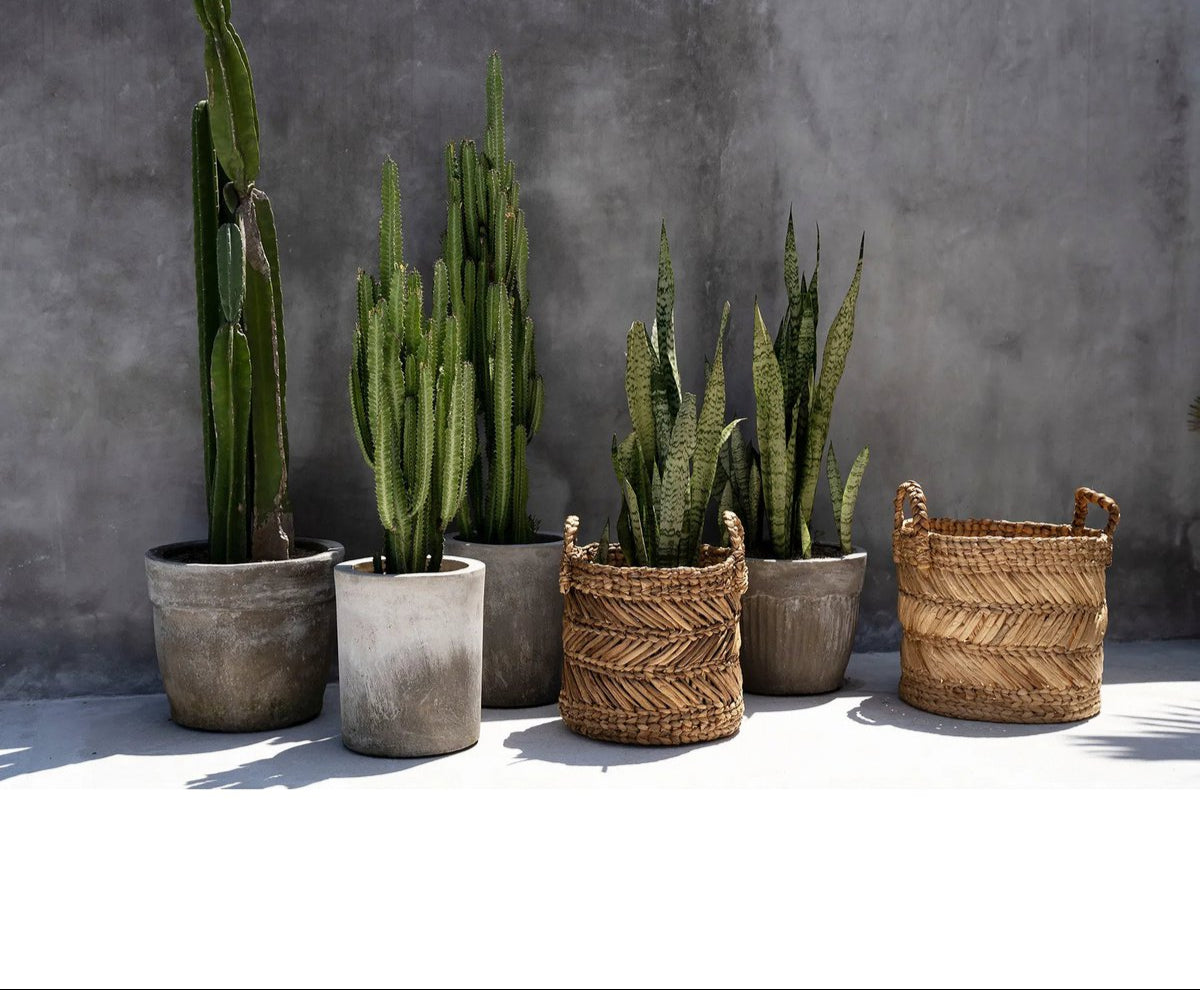Zigzag Natural – plantenmand met een ritmisch randje Maat L