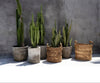 Zigzag Natural – plantenmand met een ritmisch randje Maat L