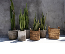 Zigzag Natural – plantenmand met een ritmisch randje maat M