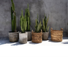 Zigzag Natural – plantenmand met een ritmisch randje maat M