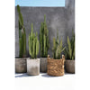 Zigzag Natural – plantenmand met een ritmisch randje maat M