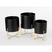 Lunar Noir Aries – zwarte metalen planters op gouden standaards