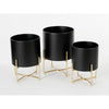 Lunar Noir Aries – zwarte metalen planters op gouden standaards